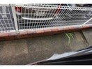 ※別号室の写真です ファミール舞