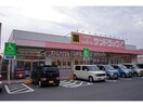 サンドラッグ福田店(ドラッグストア)まで3987m YUIビル