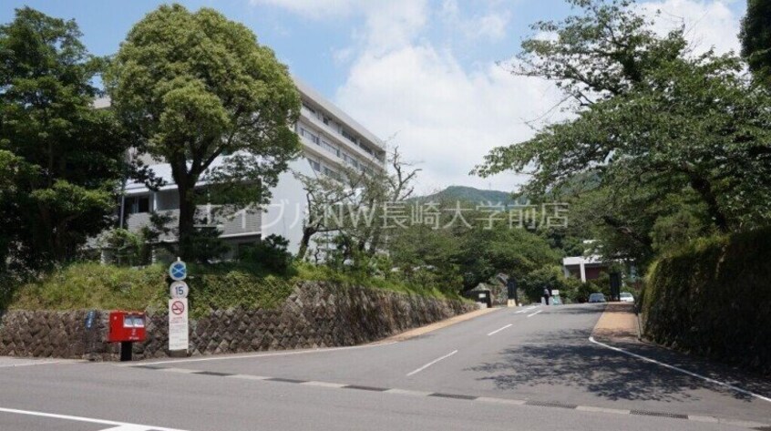 国立長崎大学医学部(大学/短大/専門学校)まで1768m ハイツサン