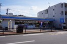 ローソン長崎大橋町店(コンビニ)まで91m ウィング壱号舘