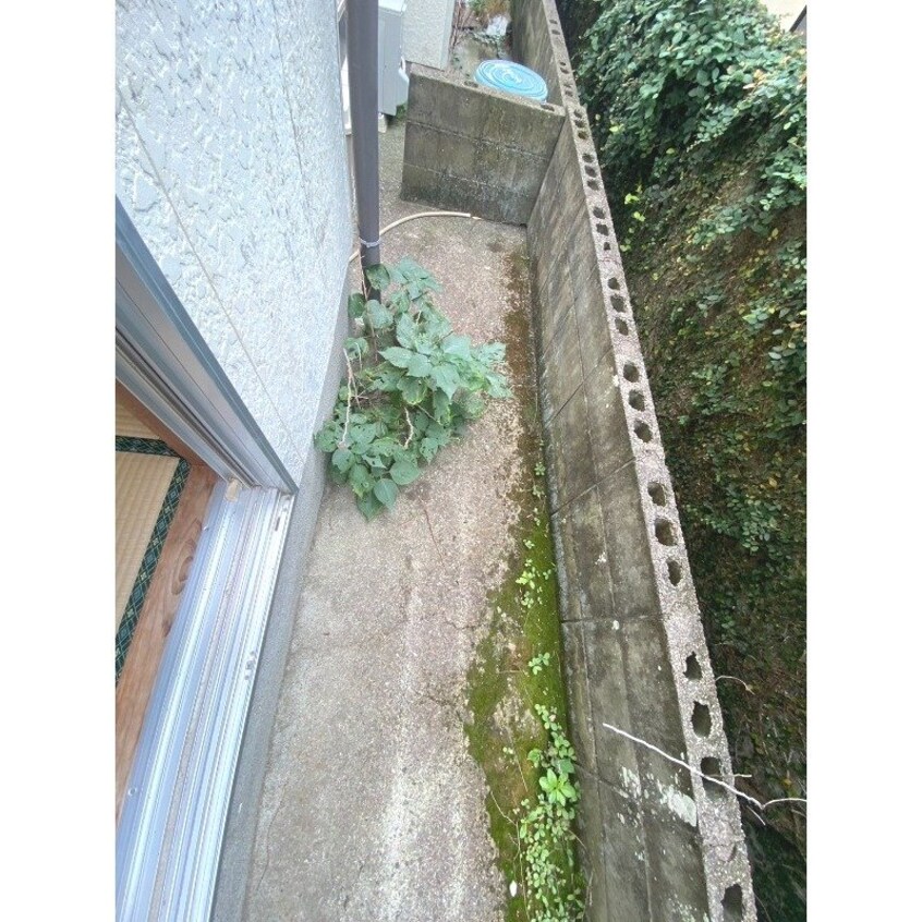  コーポ月津山 B棟