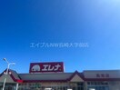 エレナ高来店(スーパー)まで1053m ヴィトーリア