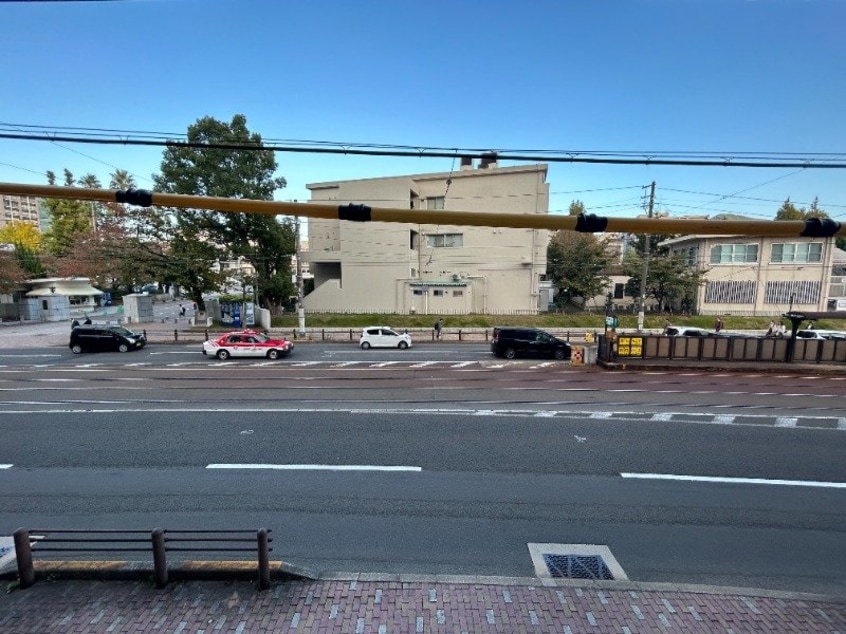  ラトゥール若葉