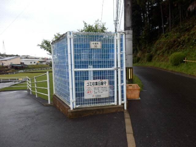 その他 アザレア