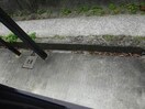  サウスタウン雄飛