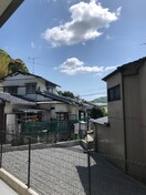  フェリスローズ