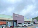 ララコープLaLa矢上(スーパー)まで3629m グッドリバー