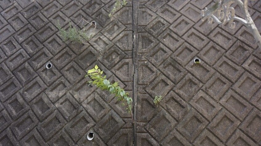  パークサイドハウス88 C棟