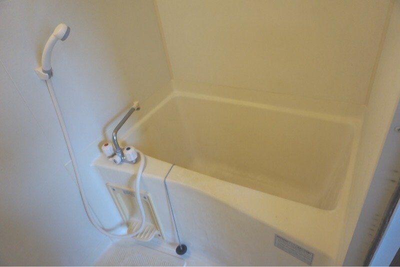  ゴールデンリバー