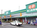 OKホーム＆ガーデン多良見店(電気量販店/ホームセンター)まで734m ボヌールA＆Y