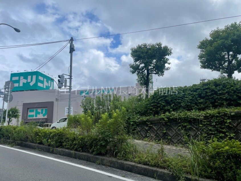 ニトリ諫早店(電気量販店/ホームセンター)まで746m スカイ　フラワー