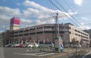 イオン時津店(スーパー)まで779m 長崎本線/高田駅 徒歩37分 1階 築15年