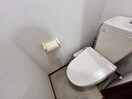 ※写真は同間取り別号室です セレスティア・カネガエ