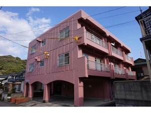 メイプルヒルダック`s