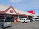 エレナ西海店(スーパー)まで351m ベリッシマⅡ