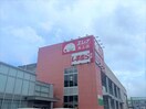 ファッションセンターしまむら矢上店(ショッピングセンター/アウトレットモール)まで320m ハイグランデ矢上