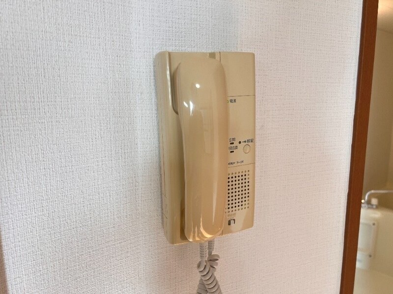  プレザント文教通り