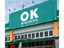 OKホーム＆ガーデン多良見店(電気量販店/ホームセンター)まで1040m フロンティア Ｂ棟