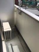  フェリスローズ