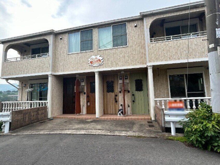  ドリームサンシャイン