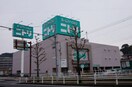 ニトリ長崎時津店(電気量販店/ホームセンター)まで803m セジュールTAKAISHI