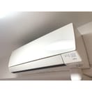  L･FLORE CENTER STAGE