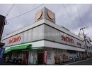 ジョイフルサン新大工店(スーパー)まで583m プリムローズ