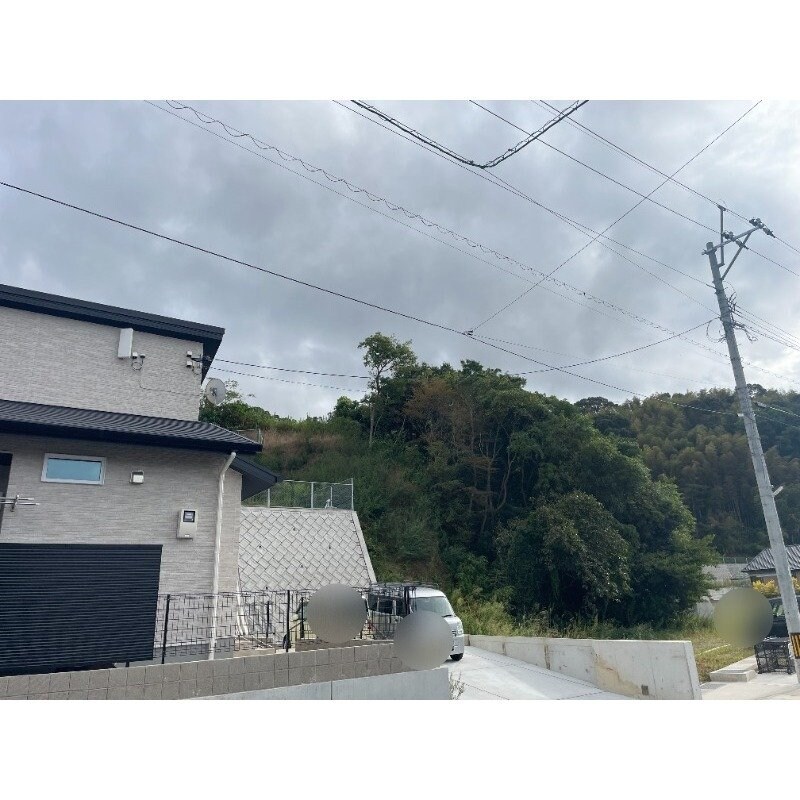  セレッソ　リーオ