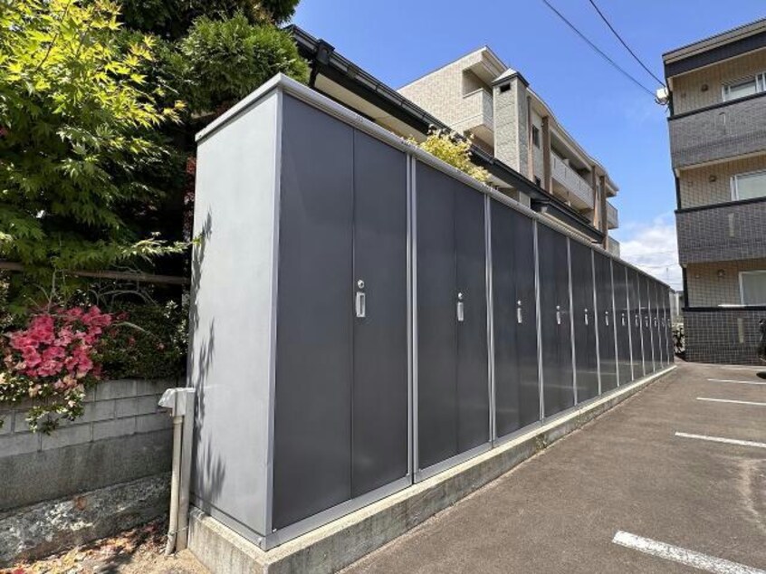  プテロン