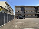  プテロン