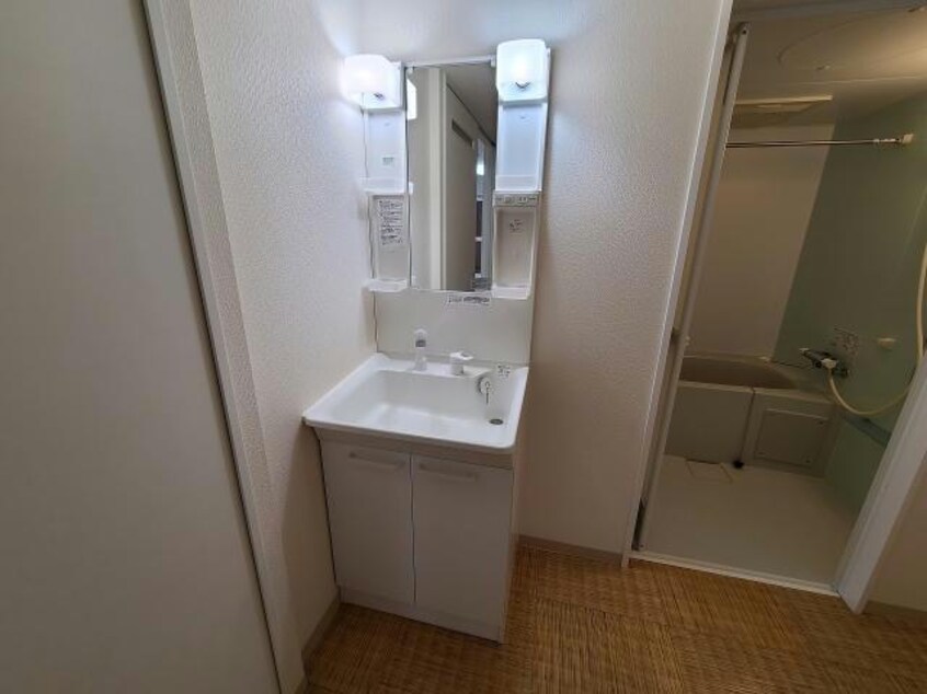  プテロン