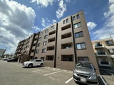 NEW PIAZZA