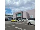 ニトリ函館店(電気量販店/ホームセンター)まで1315m プロムナード