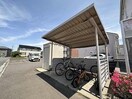  エスペランス桔梗