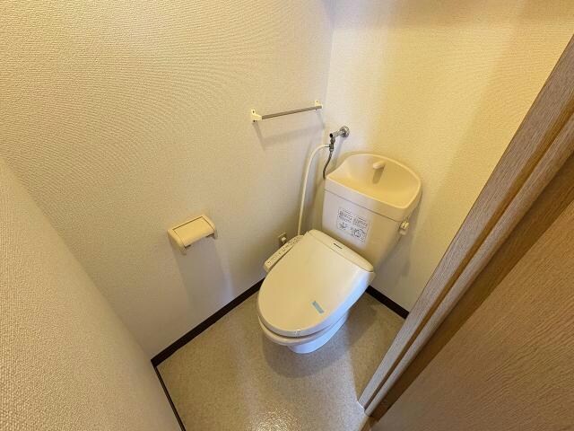  エスペランス桔梗