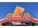 ハセガワストア桔梗店(コンビニ)まで632m マイタウンラ・フィオーレⅠ