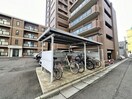  Briller五稜郭