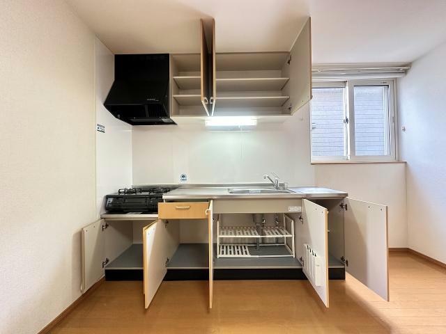  ニューカトレア朋