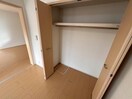 モリス