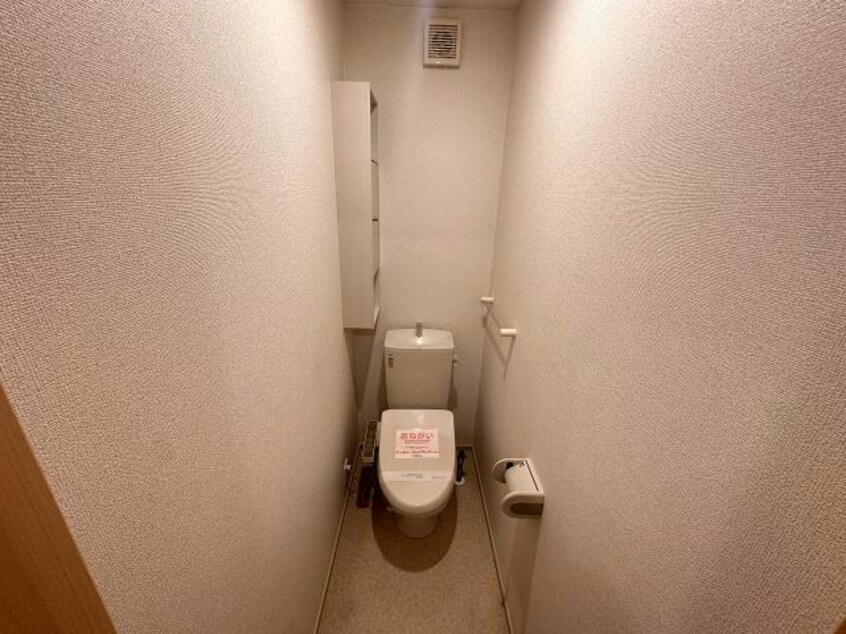  モリス