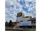 MEGAドン・キホーテ函館店(ディスカウントショップ)まで679m ラピスコートⅡ
