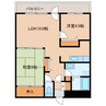 キャラウェイ39 2LDKの間取り