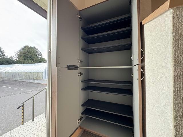  サンモール桔梗