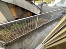 パセオ本町