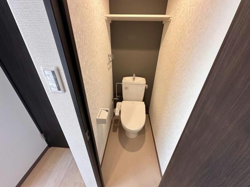  Stella桔梗~ステラ桔梗~