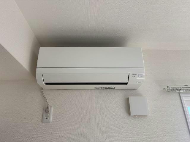  Stella桔梗~ステラ桔梗~