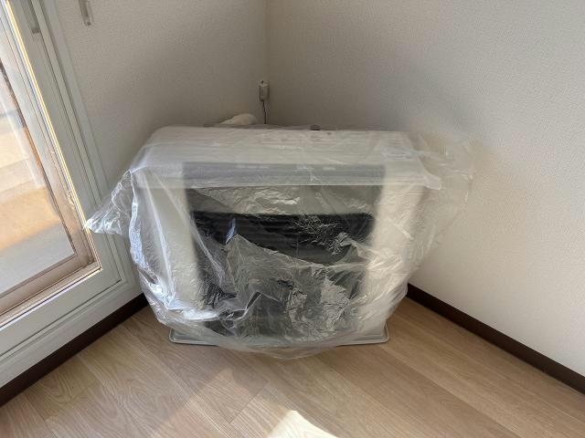  Stella桔梗~ステラ桔梗~