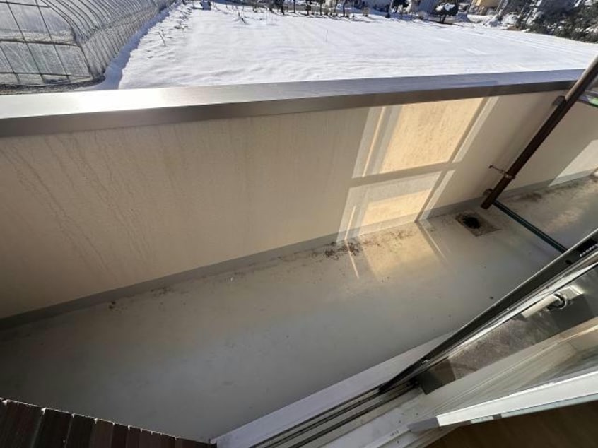  Stella桔梗~ステラ桔梗~