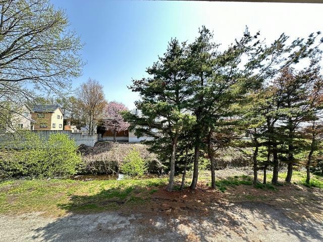  グランディスビューティー