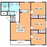 ウィンザーコート駒場 3LDKの間取り